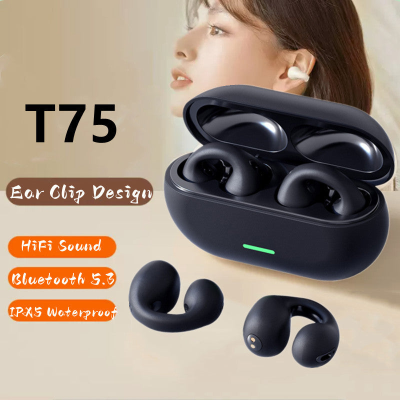 Clip Ear Music Noise Canceling Earbuds